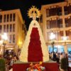 Las subvenciones a los entes festeros se darán cuando «esté clarificada» la Ofrenda de Flores a la Virgen