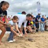 Sueltan 36 ejemplares de tortuga boba en la playa de La Marina