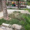 El PSOE denuncia el “abandono” del Huerto de Montenegro