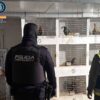 Crevillent. Detenido por maltratar y mutilar a gallos de pelea y ya tenía una condena por hechos similares en 2024