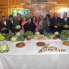 Campaña de hortalizas de invierno en el Camp d’Elx: previsión de 24 millones de kilos