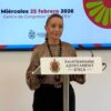 Elche acoge las I Jornadas sobre el Pueblo Gitano el 25 de febrero