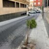 El Ayuntamiento denuncia la “tala intencionada” de cuatro naranjos de la calle Sant Antoni del Pla