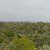 Se han recogido más de 70 litros de agua en algunas zonas de Elche