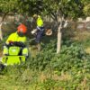 Santa Pola. Comienza a trabajar la adjudicataria del mantenimiento de parques y jardines