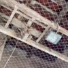 La matraca sustituye a las campanas en la Basílica de Santa María