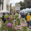 Dolores. La comarca se vuelca con la VIII Edición de la Fiesta Fin de Campaña de la Alcachofa