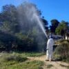 Santa Pola. Actuaciones para la gestión integral de las plagas